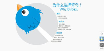 笨鳥海淘 把轉(zhuǎn)運(yùn)物流打到極致,做海淘供應(yīng)鏈?zhǔn)袌?chǎng)的先飛笨鳥